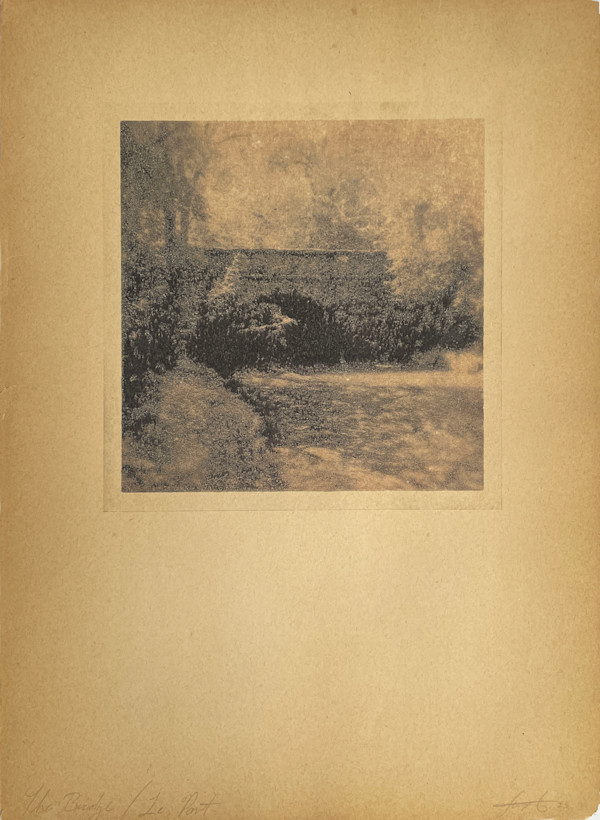 The Bridge/Le Pont by Brenda Stumpf