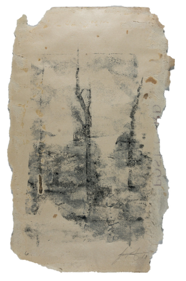 The Forest (Burnt) by Brenda Stumpf Studios