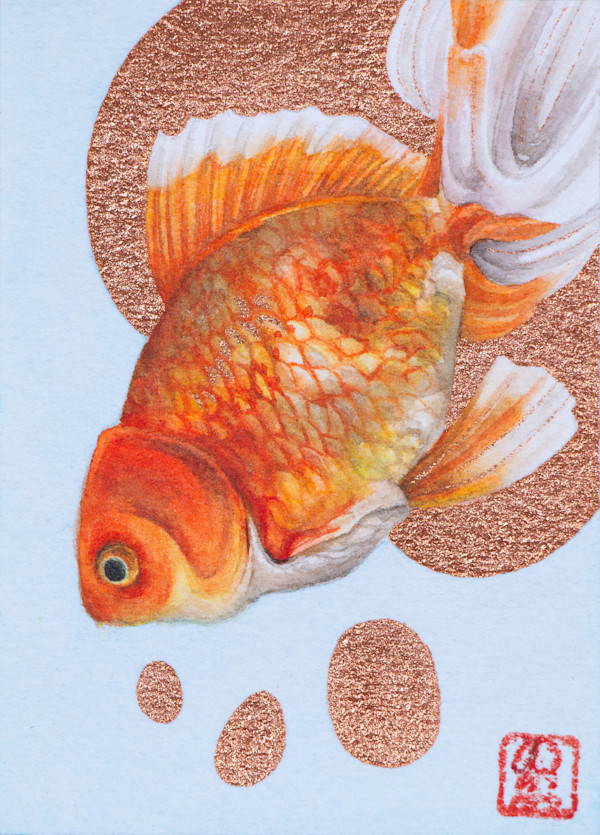 Goldfish 2 by Noelia Somoza, Image 1.