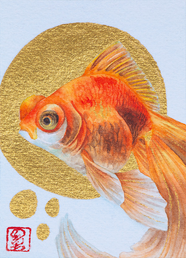Goldfish 1 by Noelia Somoza, Image 1.