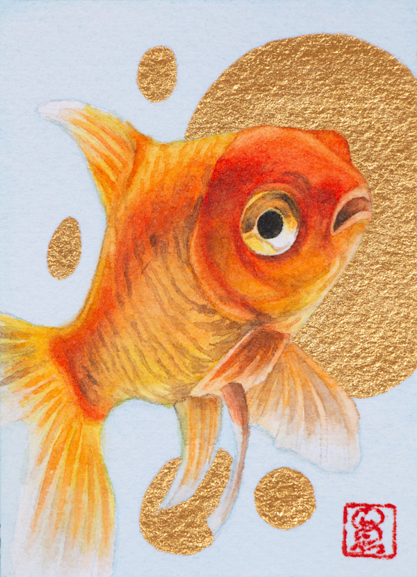 Goldfish 3 by Noelia Somoza, Image 1.