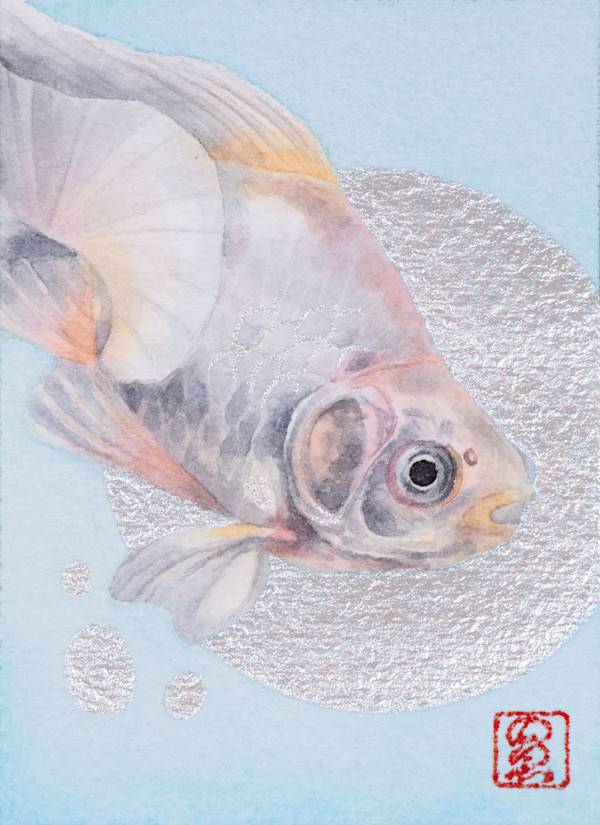 Goldfish 4 by Noelia Somoza, Image 1.