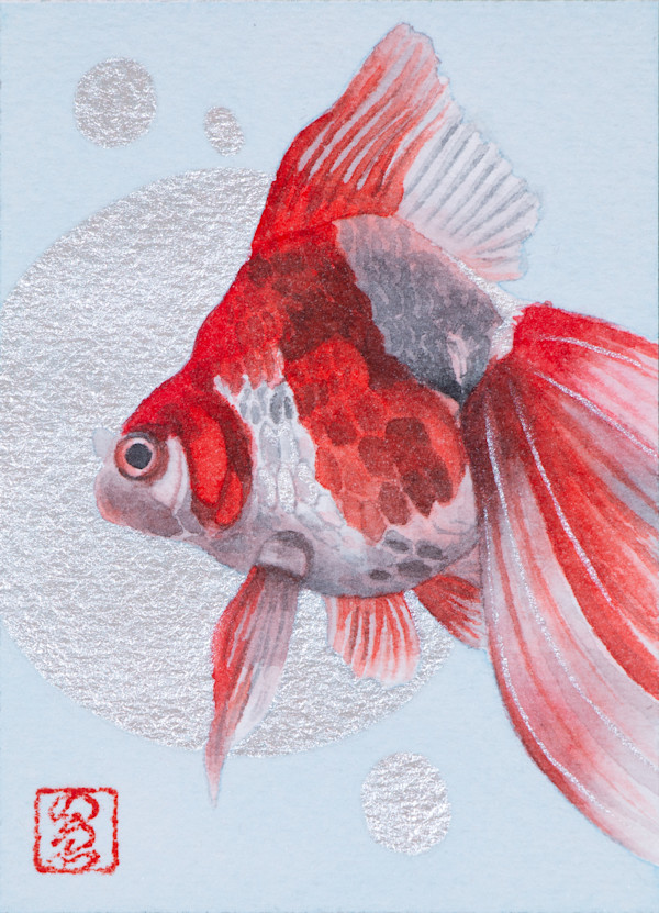 Goldfish 5 by Noelia Somoza, Image 1.