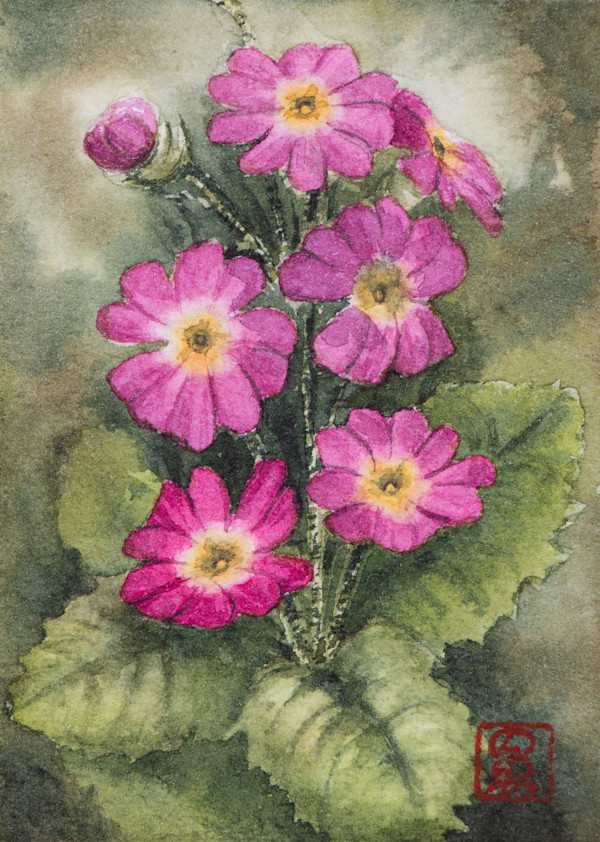 Primrose by Noelia Somoza, Image 1.