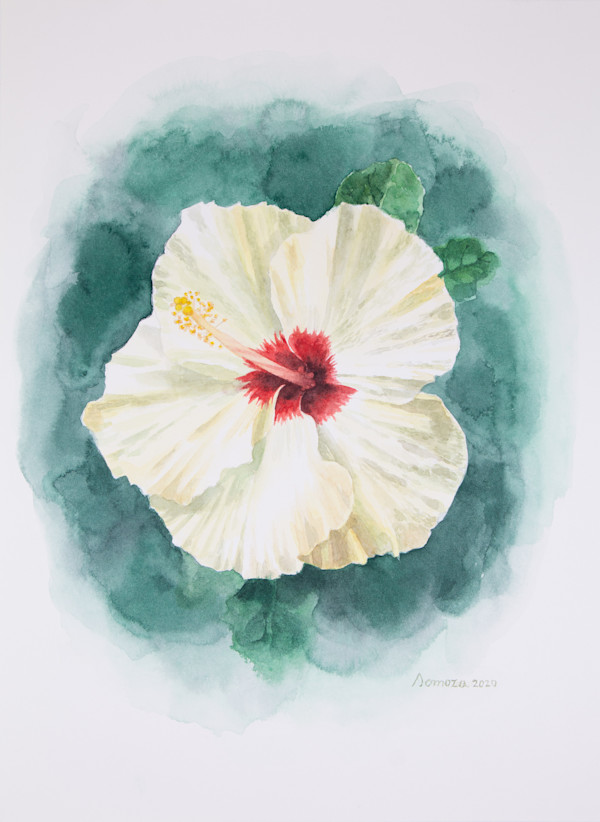 White hibiscus by Noelia Somoza, Image 1.