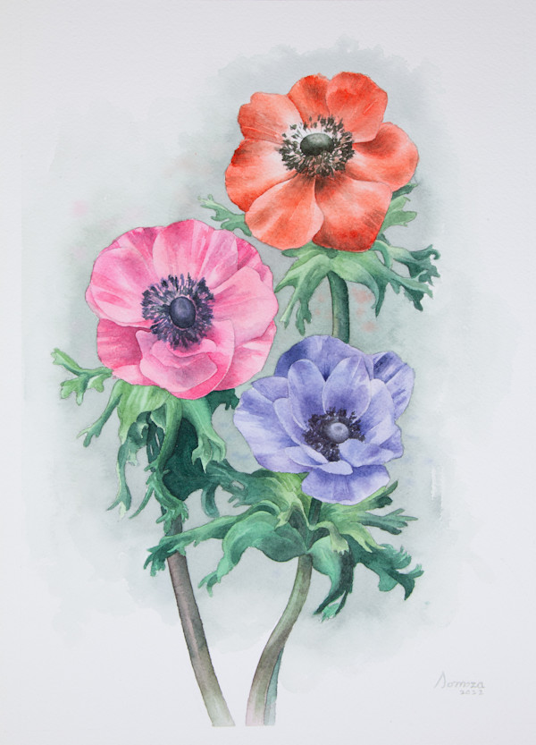 アネモネ (Anemone) by Noelia Somoza, Image 1.