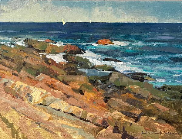 Rocky foreshore, Gloucester Massachusetts by Haidee-Jo Summers, Image 1.