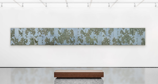 Sycamore Canopy by Kala Stein, Image 1.