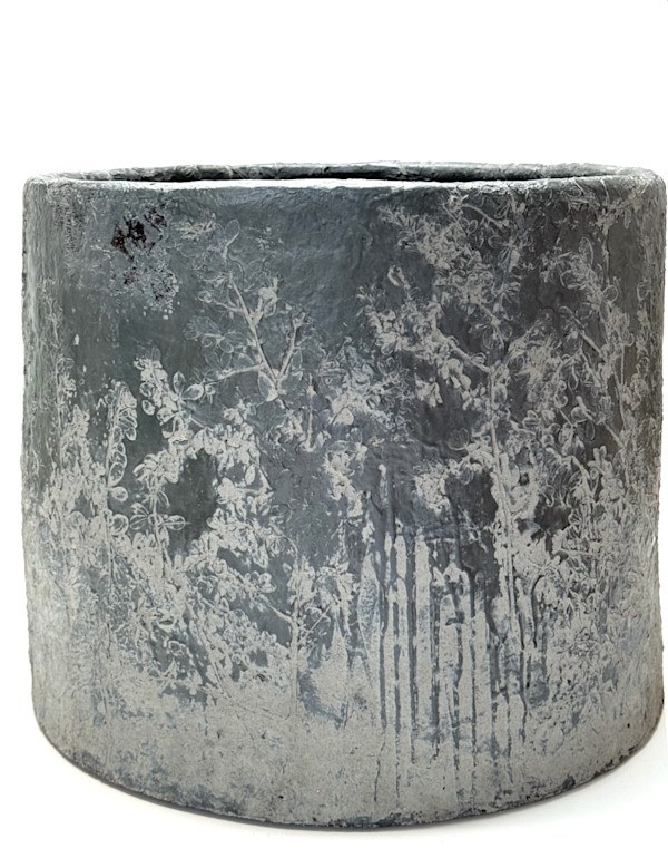 Botanical Urn Series: Invasive: Scotch Broom by Kala Stein, Image 1.
