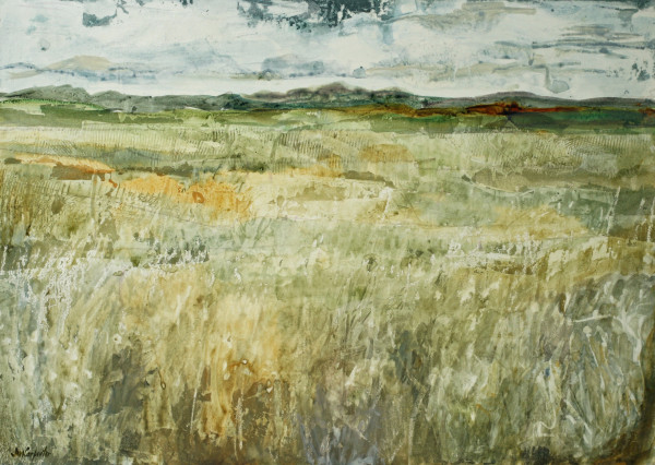 Prairie II by Jim Carpenter