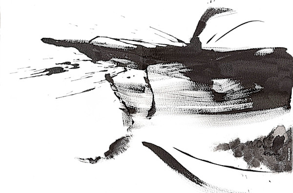 Salmon 1 by Max Coffey (MaxKafe), Image 1.
