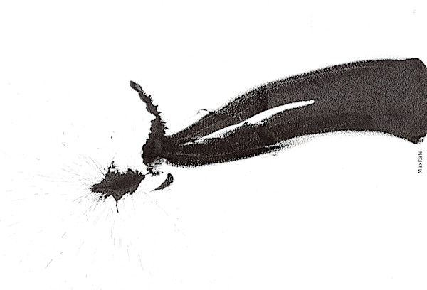 Salmon 2 by Max Coffey (MaxKafe), Image 1.