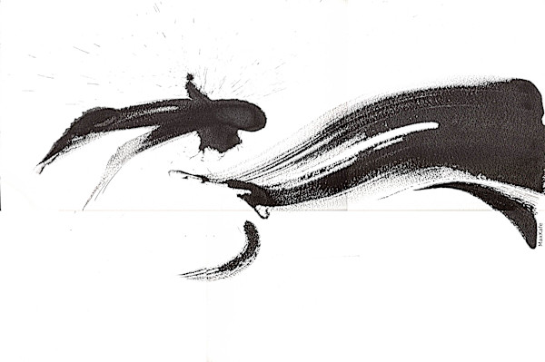 Salmon 4 by Max Coffey (MaxKafe), Image 1.