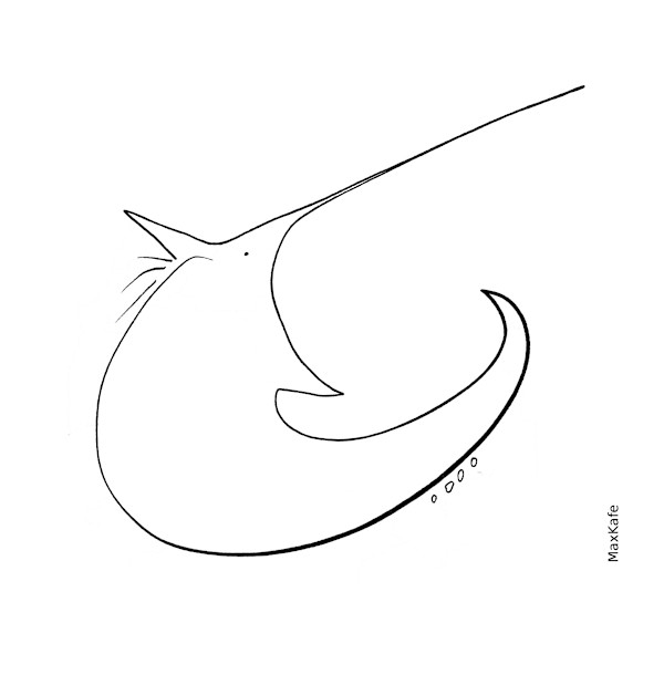 WTFIZAT by Max Coffey (MaxKafe), Image 1.