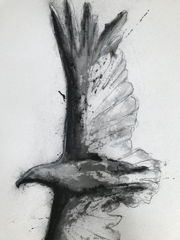 Bird of Prey by Thomas Bucich