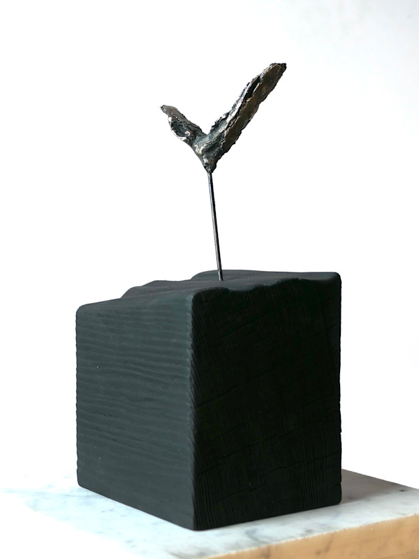 Meditations on the Icarus Effect I by Thomas Bucich