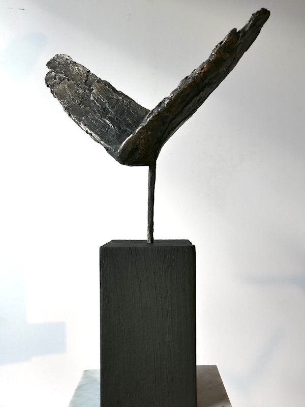 Meditations on the Icarus Effect III by Thomas Bucich