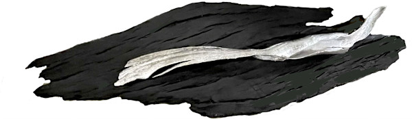 Cradle - Bark by Thomas Bucich, Image 1.