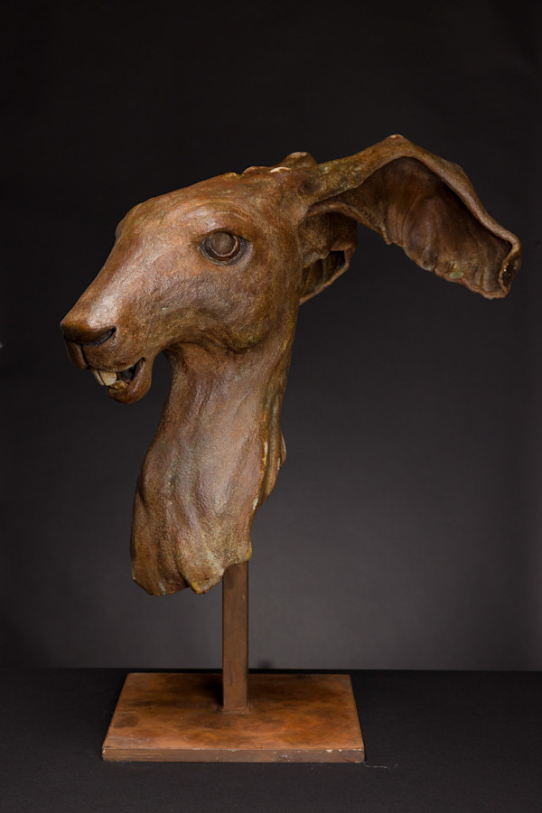 Hiro by Tony Furtado, Image 1.