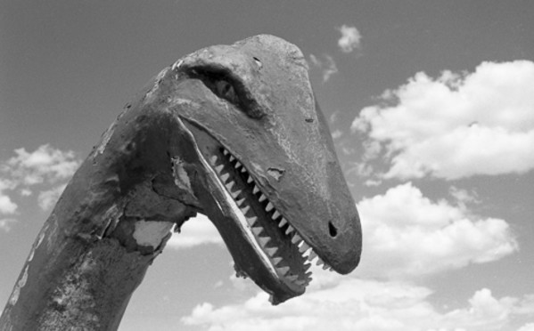 Dino Mother by Karen McClure, Image 1.