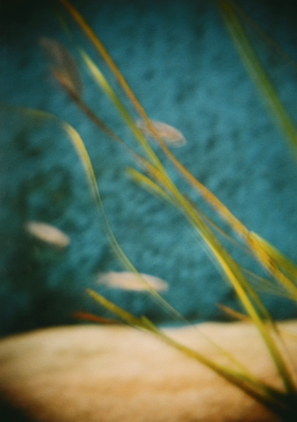 Elemental studies 5 by Tina Hsu, Image 1.