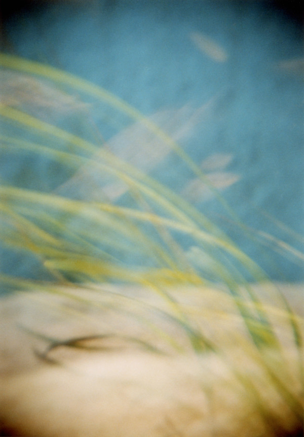 Elemental studies 4 by Tina Hsu, Image 1.