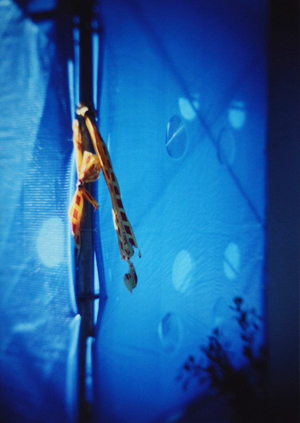 Everything causes a scintillation by Tina Hsu, Image 1.