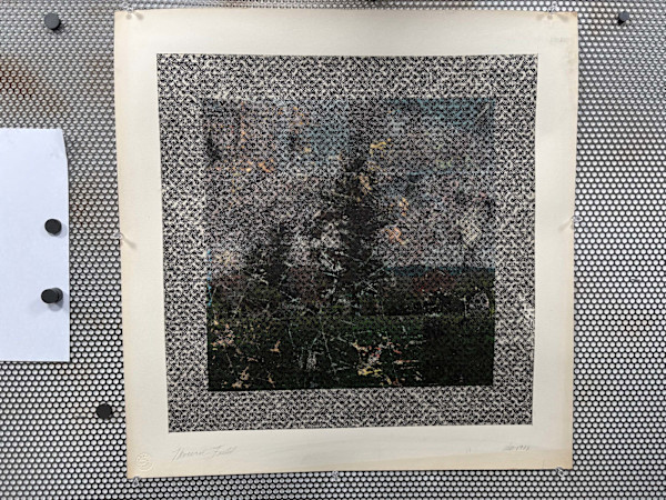 Three-way Field by Robbin Murphy, Image 1.