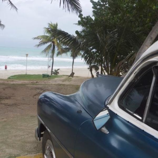 Blue Havana by Elizabeth Matheson, Image 9.