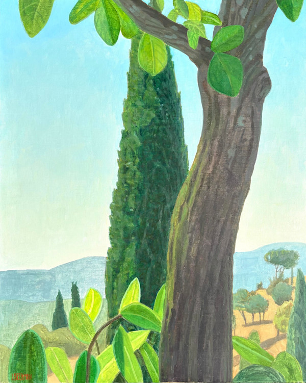 Summer Tree and Leaves, Italy by John Beerman, Image 1.