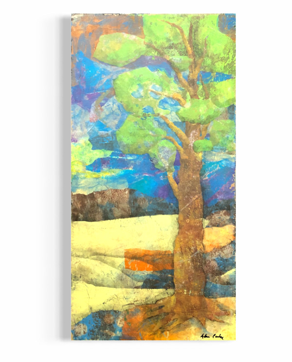 The Tall Tree by Adam Cooley, Image 1.