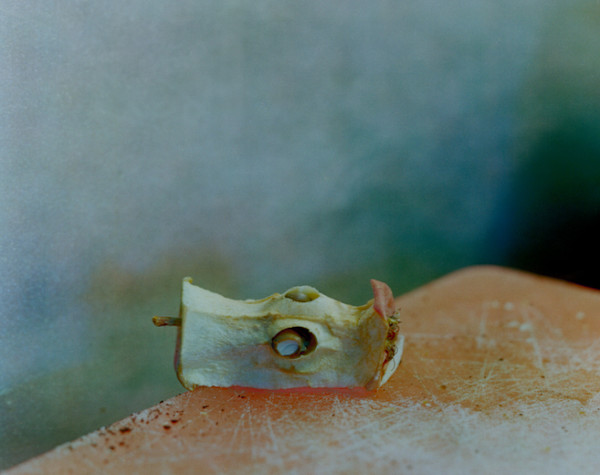 Tiny Apple Core by MJ Sharp, Image 2.