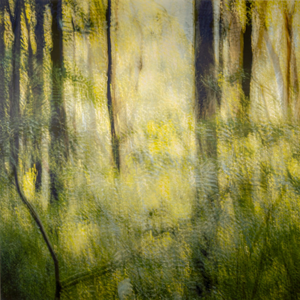 Today, This Is Reality Enough by Dan Gottlieb, Image 1.