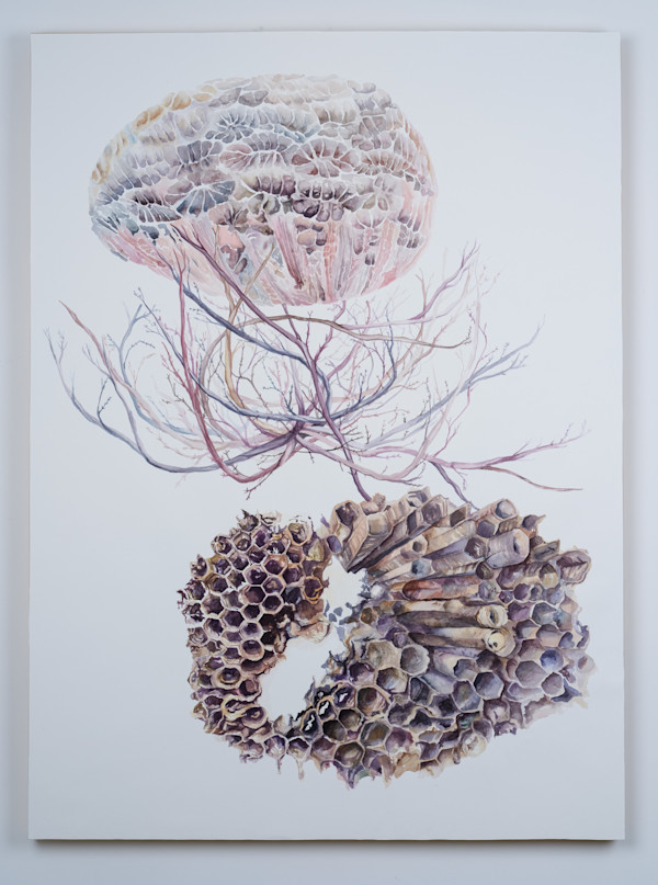 Residual Colonies by Lindy Stice, Image 1.