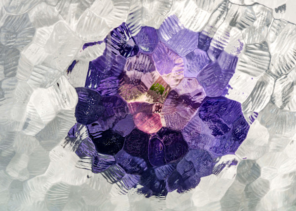 Fragmentations #6 by Allison Kendall, Image 1.