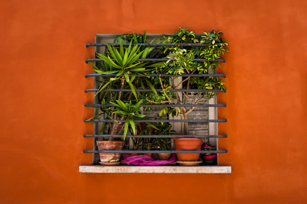 Italian window garden, Fano by Allison Kendall, Image 1.