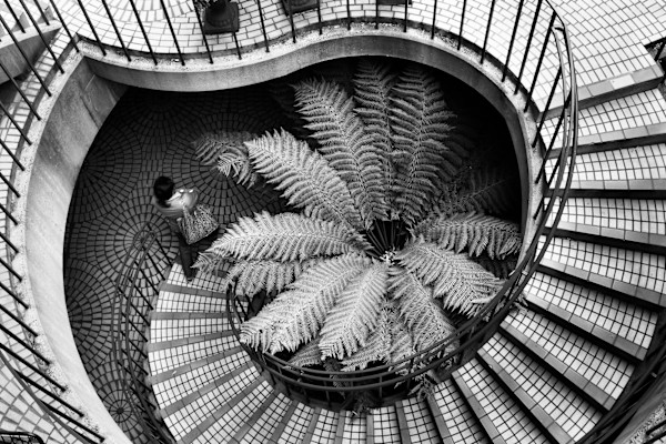 Descent by Allison Kendall, Image 1.