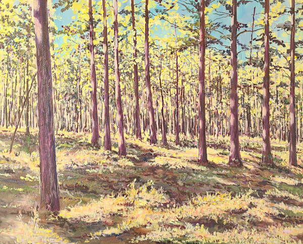 Sunlight on the Forest by Scott Anderson, Image 1.