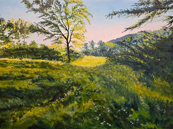 Morning Tranquility by Scott Anderson, Image 1.