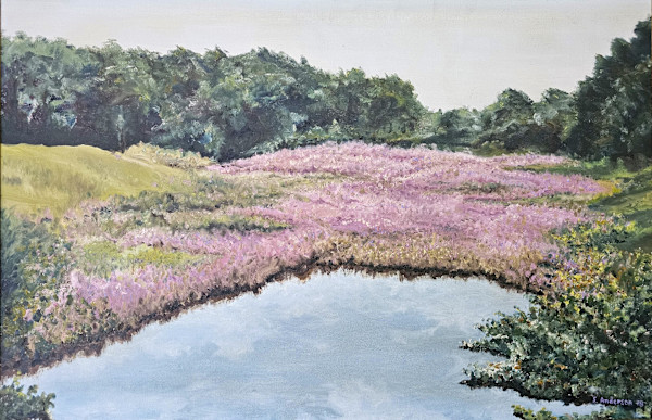 Charles River in Bloom by Scott Anderson, Image 1.