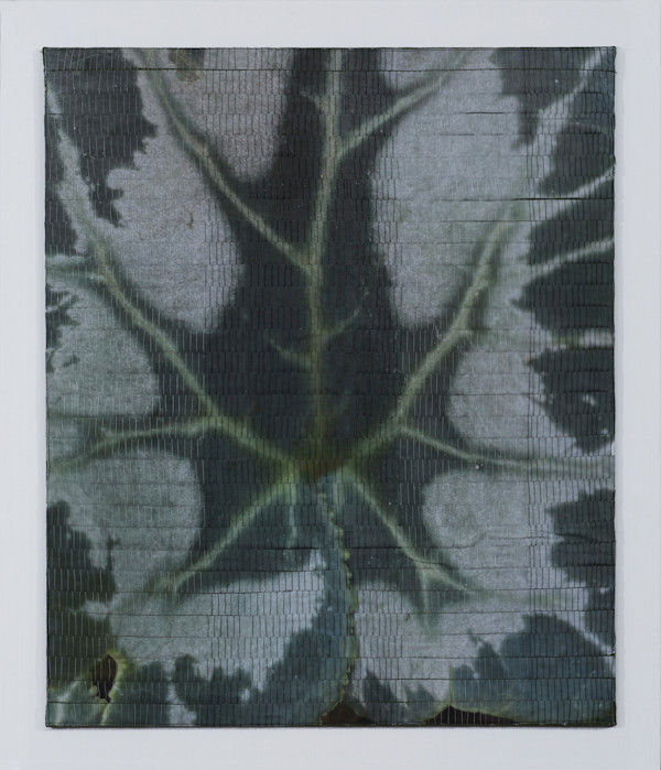 Cyclamen by Christine Guernsey, Image 1.