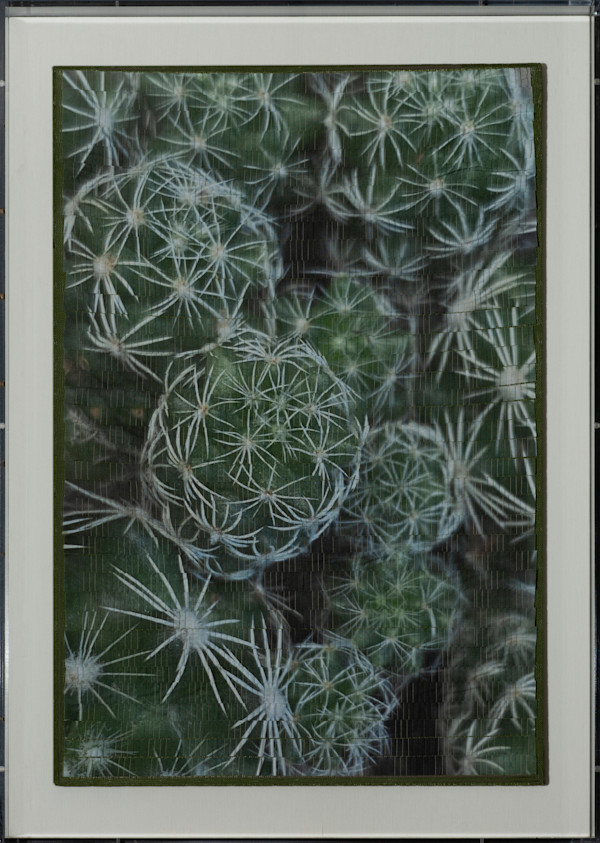 Thimbles by Christine Guernsey, Image 1.