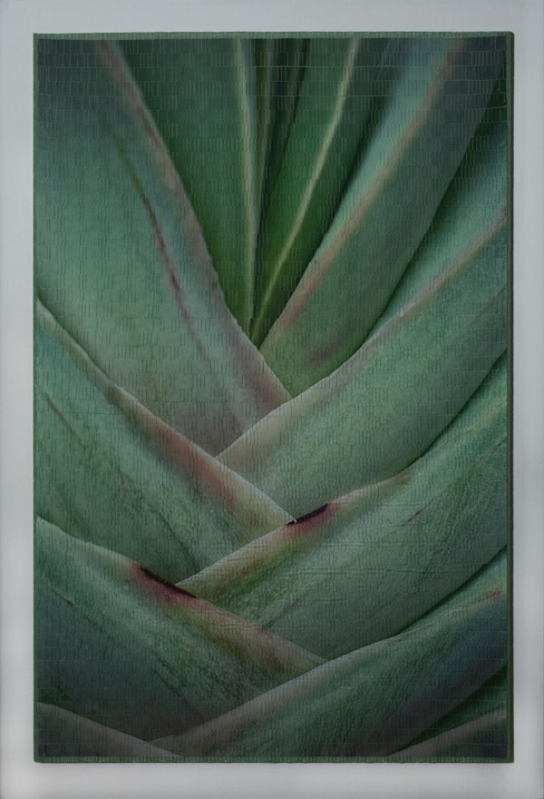 Woven Palm by Christine Guernsey, Image 1.