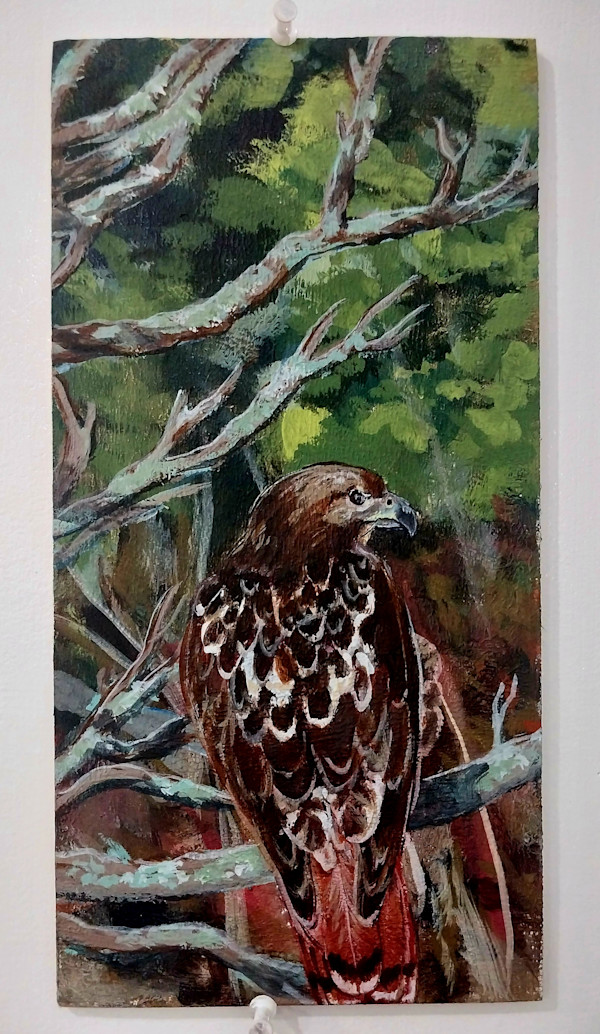 Red Tail by Dierdra Michelle, Image 1.