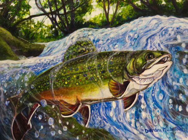 River Flow Series/ Brook Trout by Dierdra Michelle, Image 1.