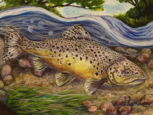 River Flow Series/ Brown Trout 3 by Dierdra Michelle, Image 1.