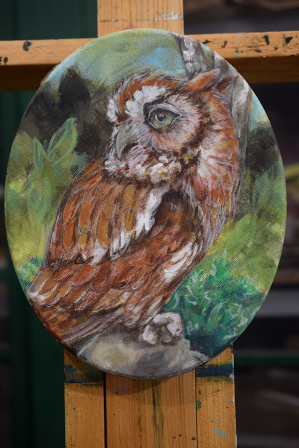 Oval Bird Series/ Owl by Dierdra Michelle, Image 1.
