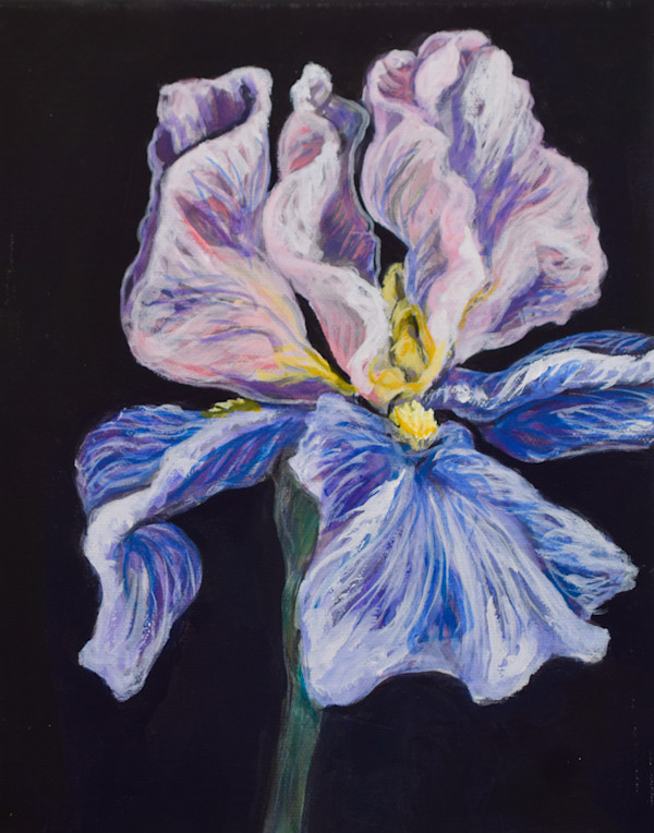 Iris by Dierdra Michelle, Image 1.