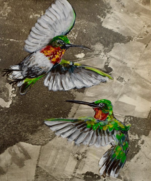 Map Birds/ Humming bird by Dierdra Michelle, Image 11.