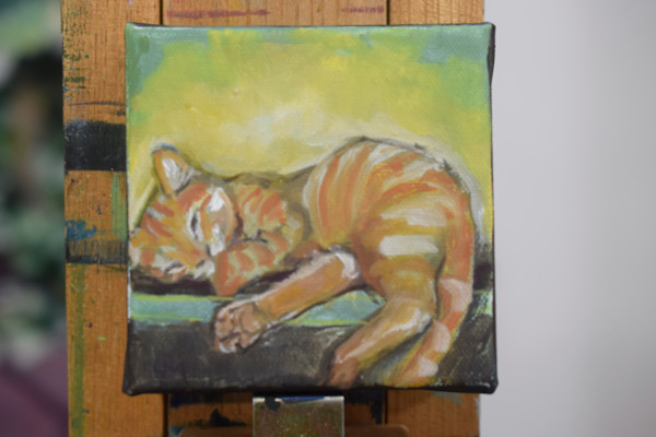 kitten hello by Dierdra Michelle, Image 1.